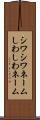 シワシワネーム Scroll