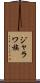 ジャラワ族 Scroll