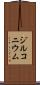 ジルコニウム Scroll