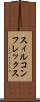 スィルコンフレックス Scroll