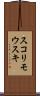 スコリモウスキ Scroll