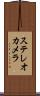 ステレオカメラ Scroll