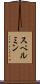 スペルミン Scroll