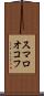 スマロオコフ Scroll