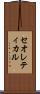 セオレティカル Scroll