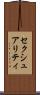 セクシュアリティ Scroll