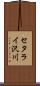 セタライ沢川 Scroll