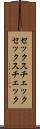 セックスチェック Scroll