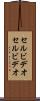 セルビデオ Scroll