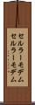 セルラーモデム Scroll