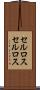 セルロス Scroll