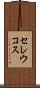 セレウコス Scroll
