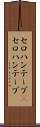 セロハンテープ(P) Scroll