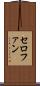 セロファン Scroll