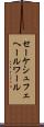 セーケシュフェヘールワール Scroll