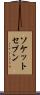 ソケットセブン Scroll