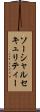 ソーシャルセキュリティー Scroll