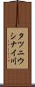 タツニウシナイ川 Scroll
