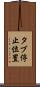 タブ停止位置 Scroll