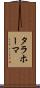 タラホーマ Scroll