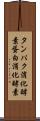 タンパク消化酵素 Scroll