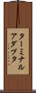 ターミナルアダプタ Scroll