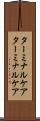 ターミナルケア Scroll