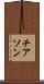 チアソン Scroll
