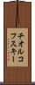 チオルコフスキー Scroll