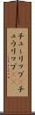 チューリップ(P) Scroll