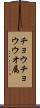 チョウチョウウオ属 Scroll
