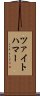 ツァイトハマー Scroll