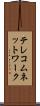 テレコムネットワーク Scroll