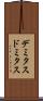 デミタス Scroll