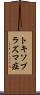 トキソプラズマ症 Scroll