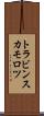 トラビンスカモロツ Scroll