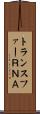 トランスファーＲＮＡ Scroll