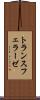 トランスフェラーゼ Scroll