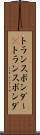 トランスポンダー(P) Scroll