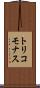 トリコモナス Scroll