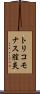 トリコモナス膣炎 Scroll