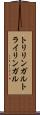 トリリンガル Scroll