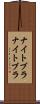ナイトブラ Scroll