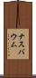 ナスバウム Scroll