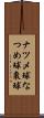ナツメ球 Scroll