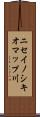 ニセイノシキオマップ川 Scroll