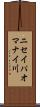 ニセイパオマナイ川 Scroll