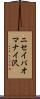 ニセイパオマナイ沢 Scroll