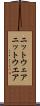 ニットウェア Scroll