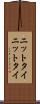 ニットタイ Scroll